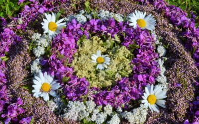 Kun yhteys on katki, maailma on rikki