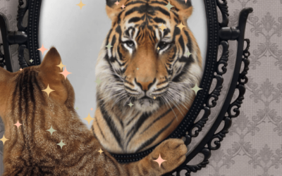 Kuulutko sinäkin heihin jotka eivät tunnu löytävän elämässä paikkaansa? Kuulutko  etsijöiden heimoon?