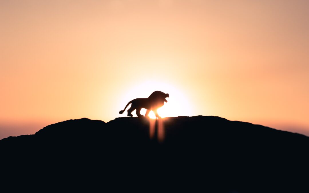 Kun trauma on kehossa koitamme turhaan korjata mieltämme