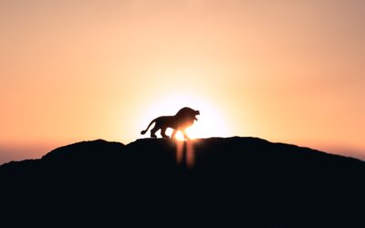 Kun trauma on kehossa koitamme turhaan korjata mieltämme