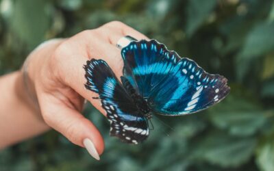 Ensimmäistä kertaa seksuaaliterapeutin vastaanotolla