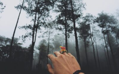 Pelkopohjainen yhteiskunta