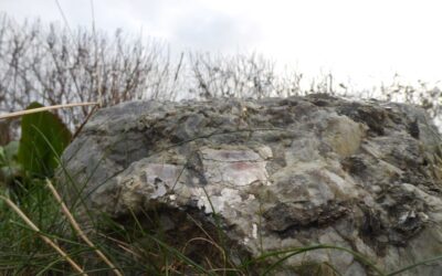 SELVIYTYMISTÄ JA KASVAMISTA PARANOIDISENA SKITSOFREENIKKONA