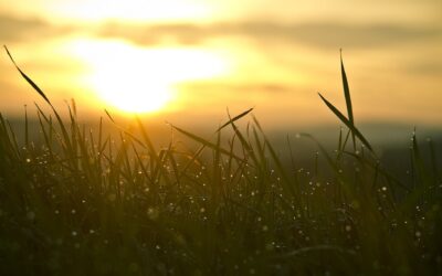 Ikä on vain numero – vai onko sittenkään?