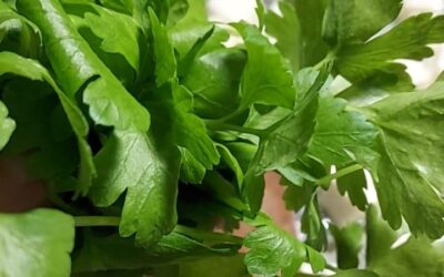 Mitä tänään syötäisiin? – Ruokaboksin avulla helpotusta arkiruokailuun