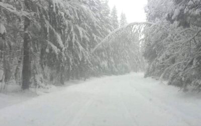 Vastuu ja rajat ihmissuhteissa.