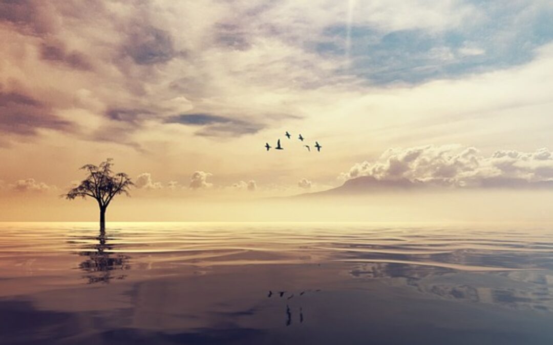 Levollisuus lisääntyy tunteita kohtaamalla