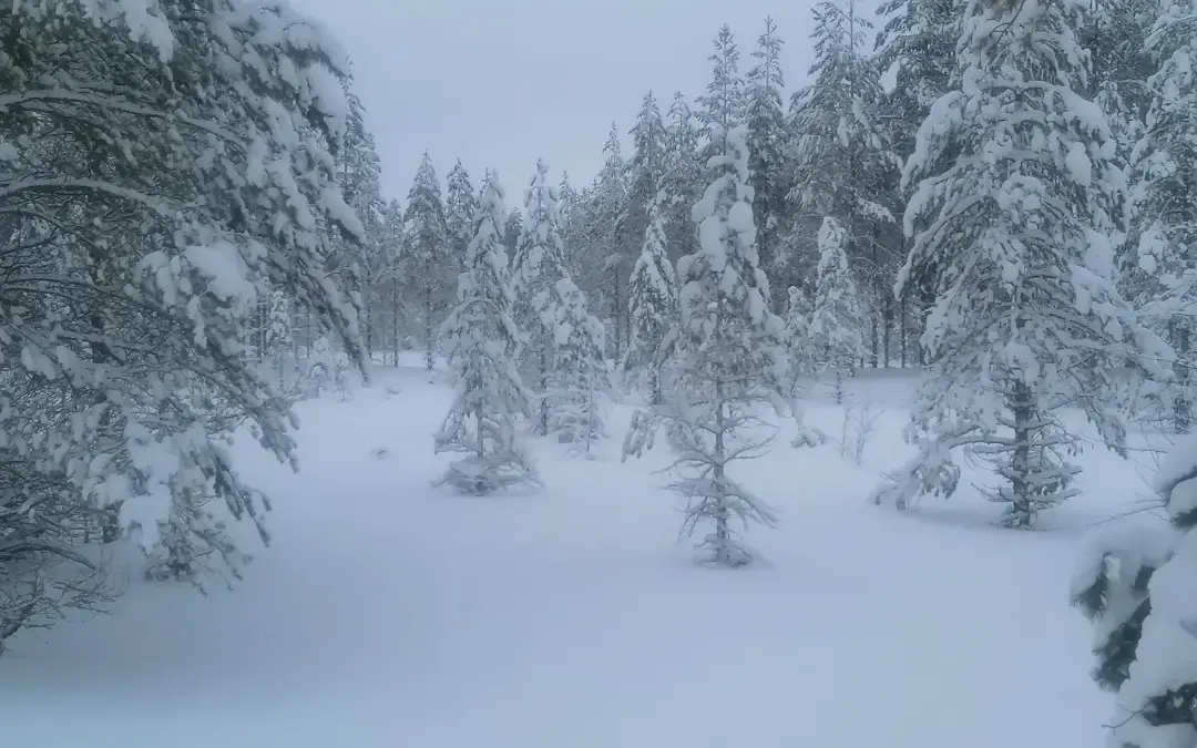 Sinä olet tärkeä. Arvokas.