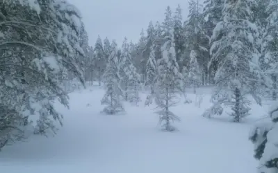 Sinä olet tärkeä. Arvokas.