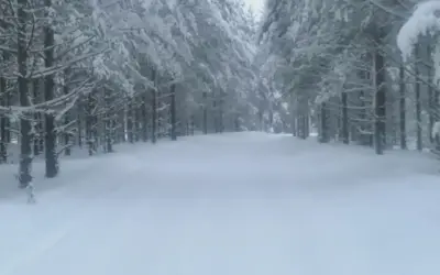 Itseni hyväksyminen, tällaisenaan.