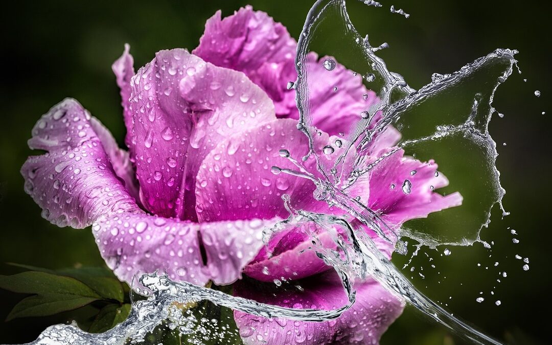 Mistä sait sen käsityksen, et noin voi tehdä toisille?