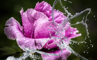 Mistä sait sen käsityksen, et noin voi tehdä toisille?