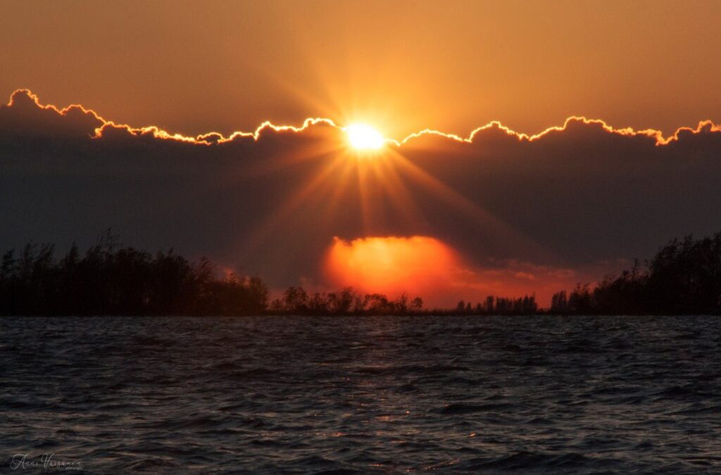 Läheisriippuvainen- minäkö muka?