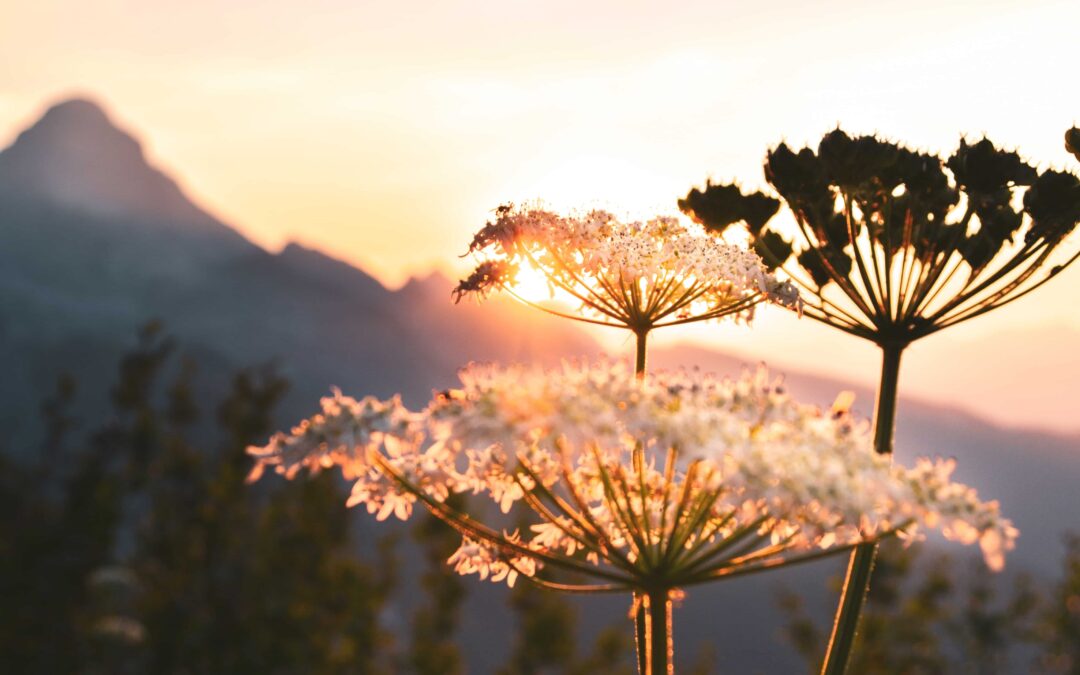 ”En osaa rakastaa” ja muita vääristyneitä uskomuksia