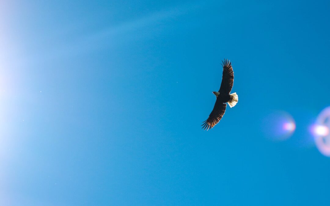 Ystävänä itselleni – kun sallin sisäisen rauhan tavoittaa stressaantuneen mielen