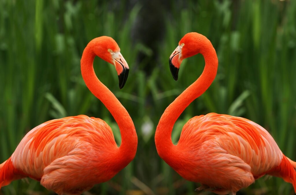 Flow:sta hyödyllisyyteen