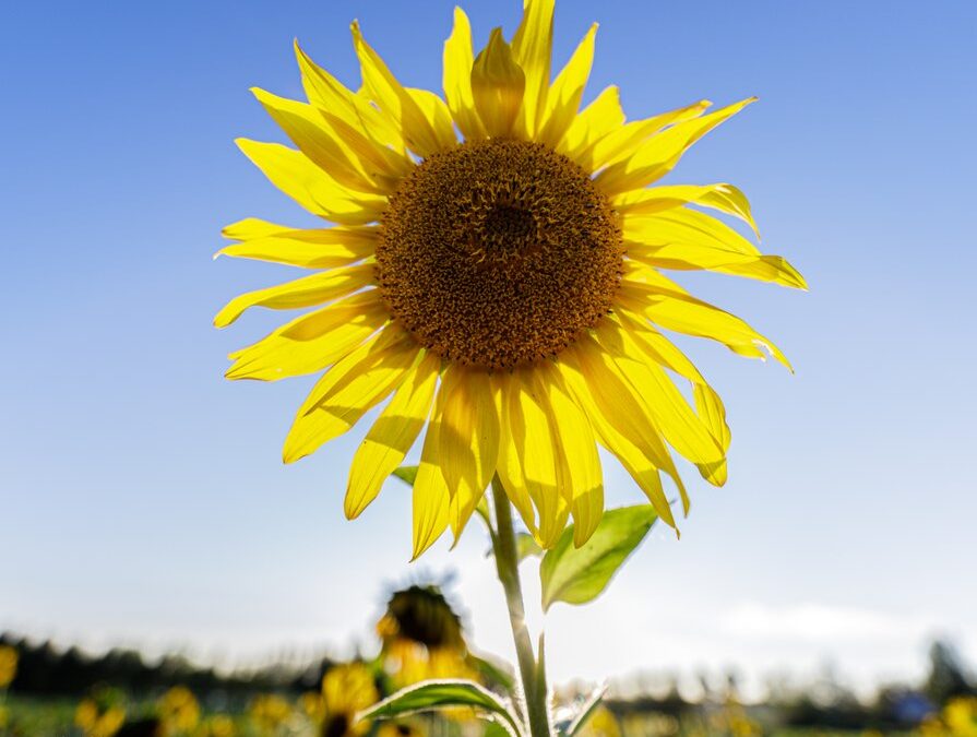 Minun hermostoni, minun elämäni sen kanssa