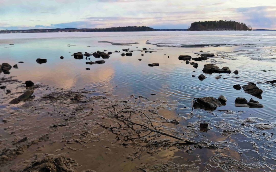 Tulin tänne tuottamaan pettymyksiä – eikä se haittaa