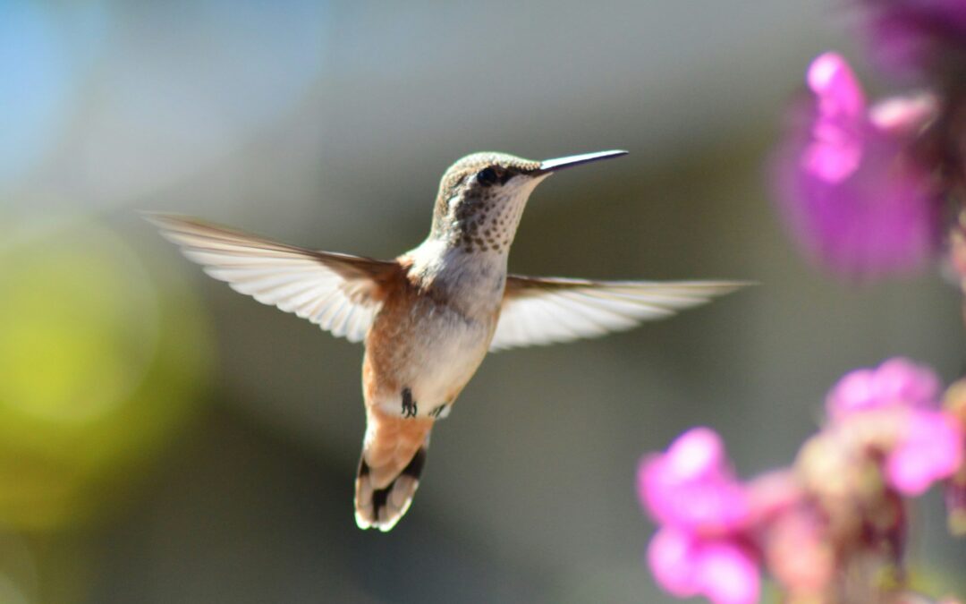 Kuka todellisuudessa seisoo vapautesi tiellä?