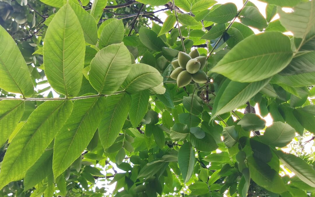 Kuka minä olen puhumaan rakkaudesta?