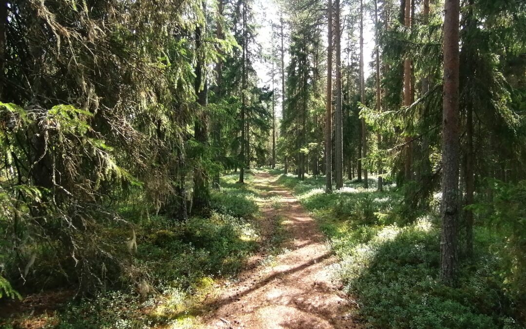 Ahdistuksen monet kasvot.