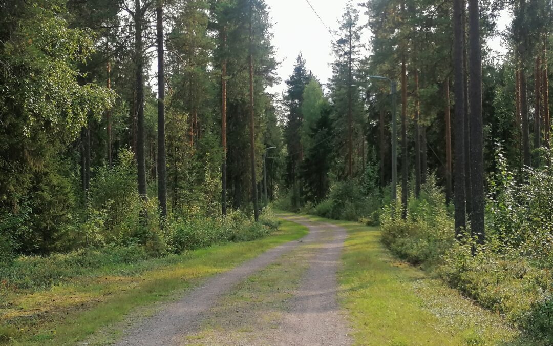 Turvattomuus.