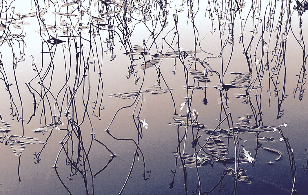 JOS MINÄ JOSTAIN ALKAISIN – omat rajat rakkaus- ja ihmissuhteissa