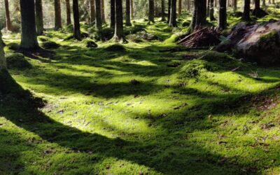 Näkyväksi tulemisen pelko
