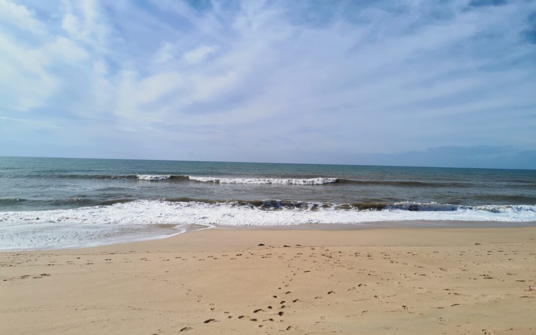 ”Never give up” vai ”Just let it be”