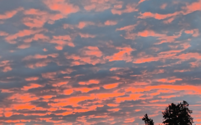 Miten yksi sana voikin herättää niin paljon tunteita?