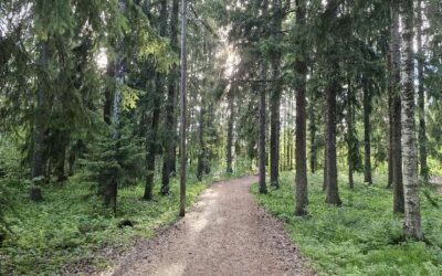 Hyviä uutisia