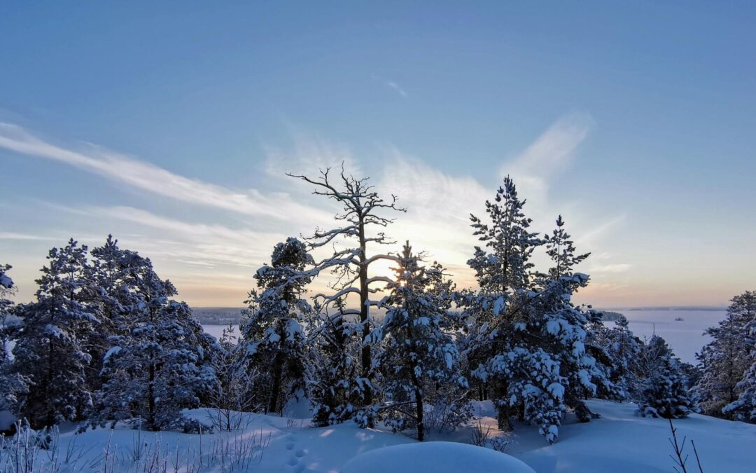 Pakotettu pysähtyminen