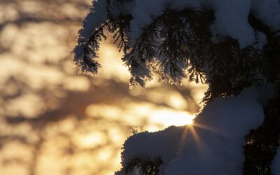 Yhden pojan tuska, ja vähän muidenkin