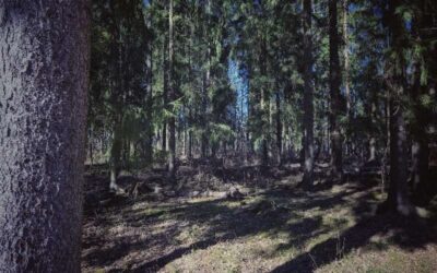Eletyistä vuosista