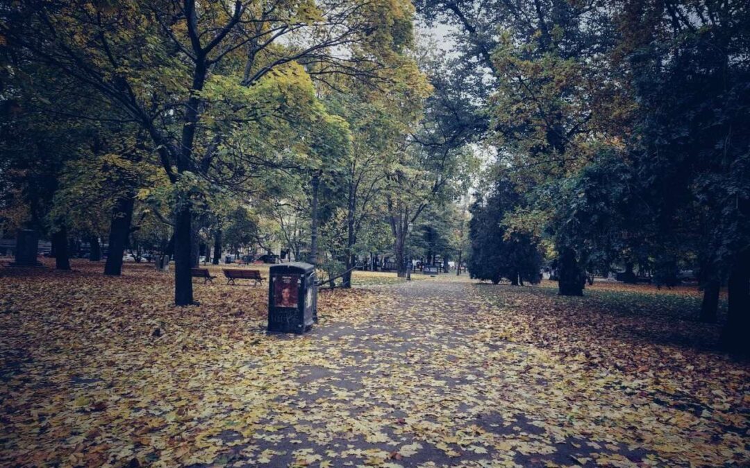 Anteeksi että olen olemassa