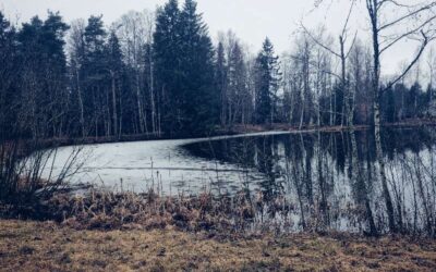 Ajasta ja elämästä