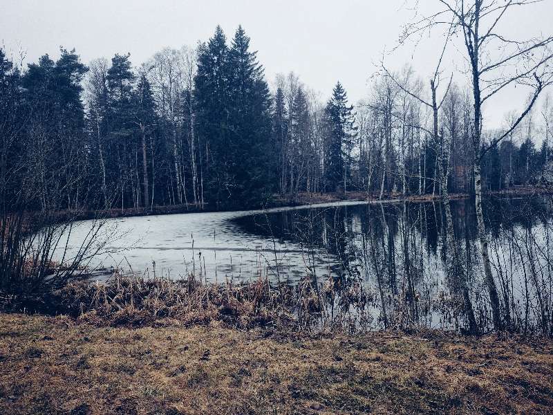 Ajasta ja elämästä