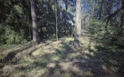 Terapiasta, Kelan vaativan lääkinnällisen kuntoutuksen kilpailutuksesta ja ihmisarvoisesta elämästä 