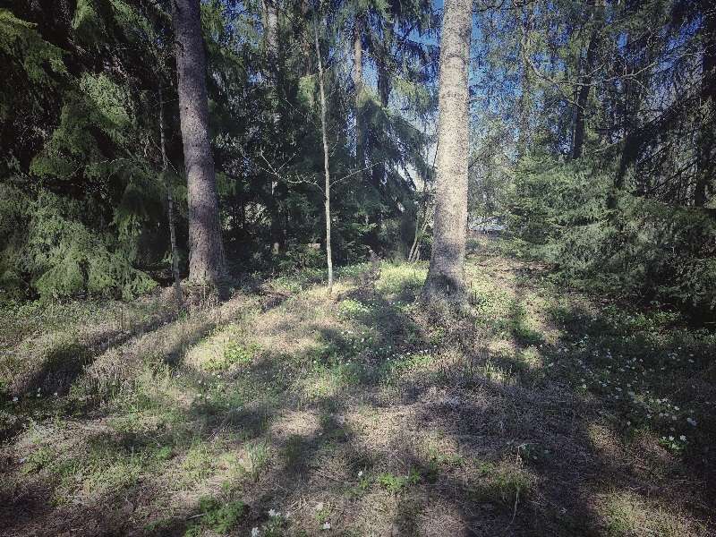 Terapiasta, Kelan vaativan lääkinnällisen kuntoutuksen kilpailutuksesta ja ihmisarvoisesta elämästä 