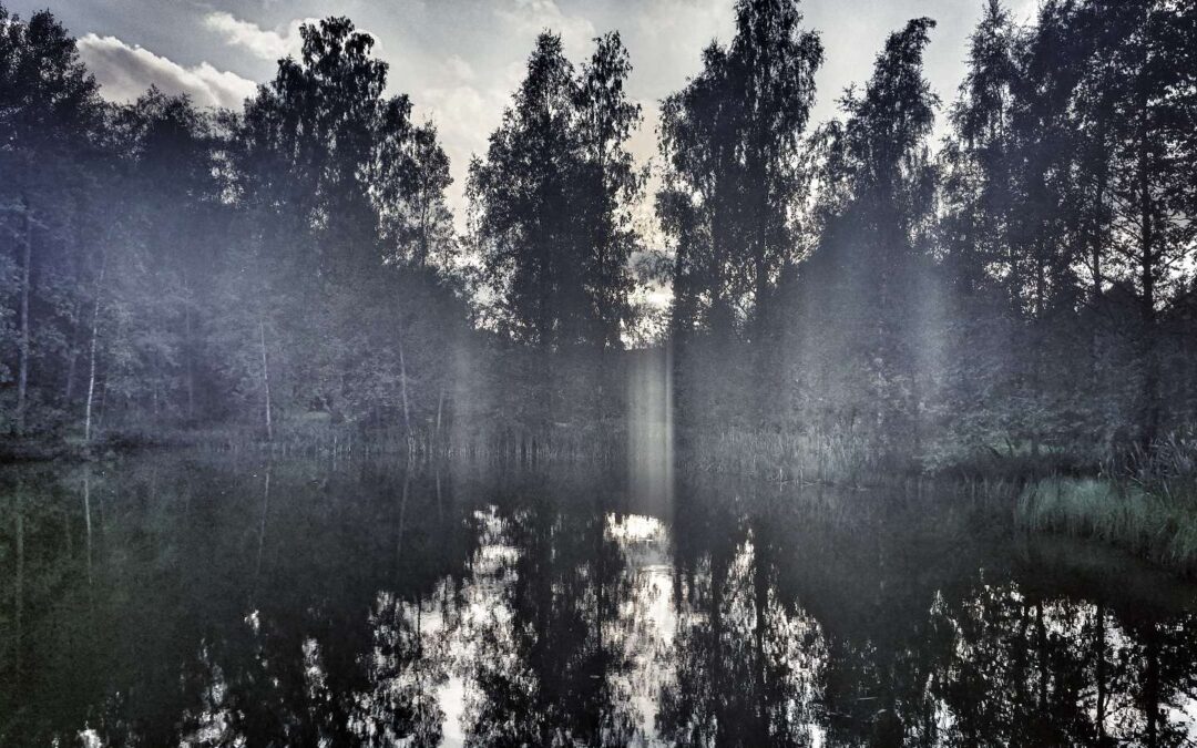Trauman jäljet